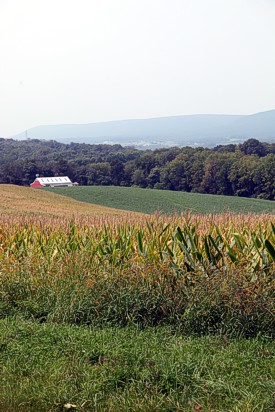 Greenwich Township